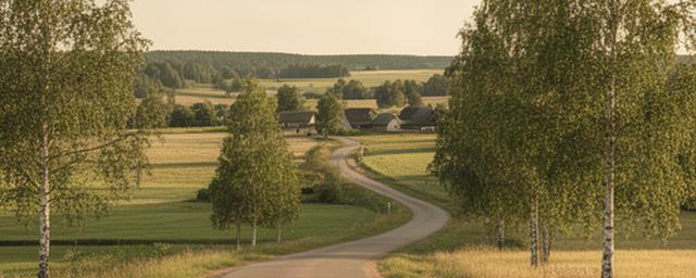 Vidzemes lauku ceļš starp Valmieru, Matīšiem un Mazsalacu